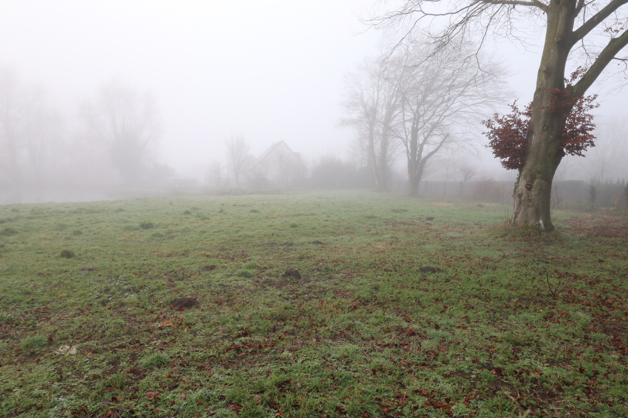 Vente Terrain Constructible 800 M2